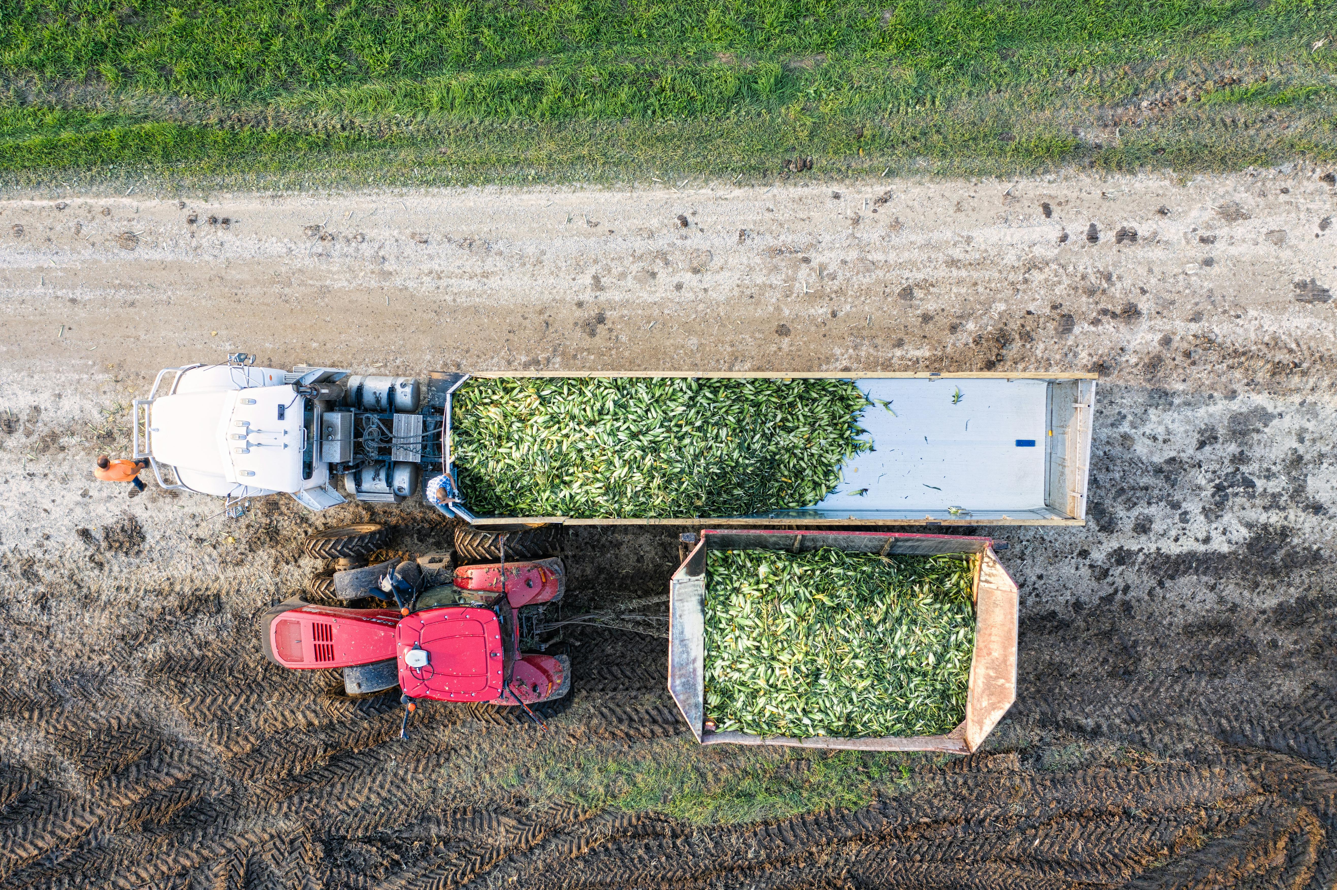 A truck works on cultivating for farming reasons