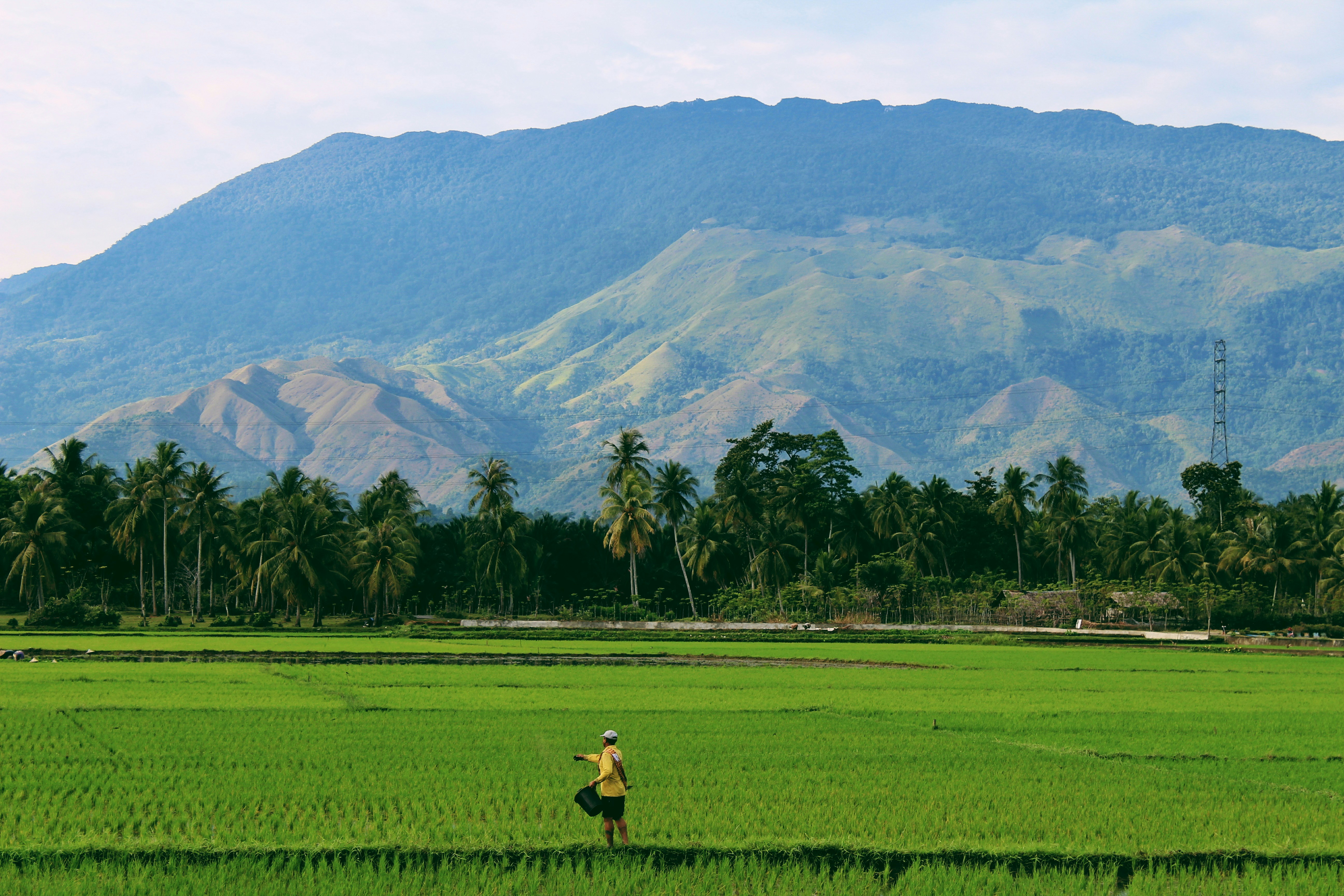 sandy-zebua-a7n65pmnJ4Q-unsplash A farmer works in a field with a mountain range in the distance