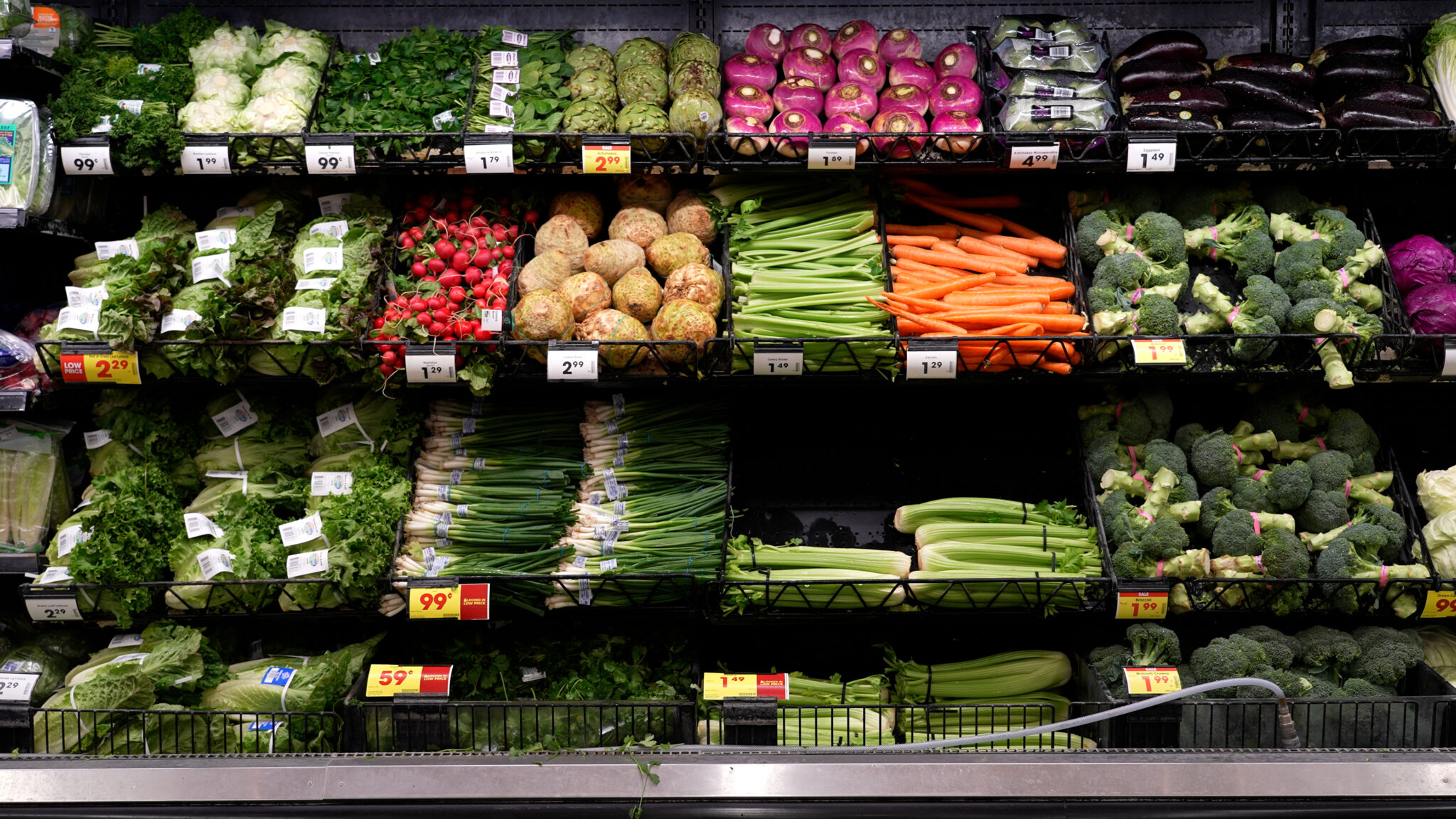 Food Is Medicine